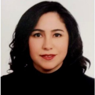 Handan Tokdogan